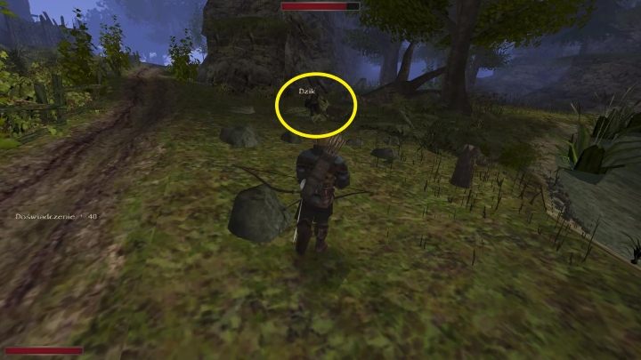 Wróćcie z nią do myśliwego - Kroniki Myrtany: Przyczółek potrzebny od zaraz - solucja, opis przejścia - Kroniki Myrtany - poradnik do gry