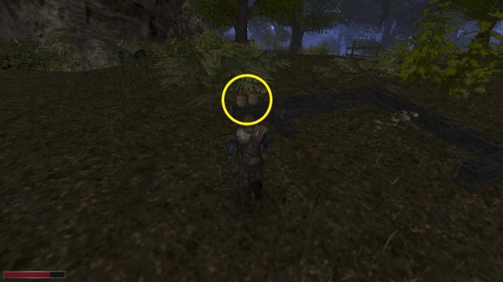 Waszą pierwszą wskazówką są butelki alkoholu pozostawione na pniu - Kroniki Myrtany: Pojawia się i znika - solucja, opis przejścia - Kroniki Myrtany - poradnik do gry