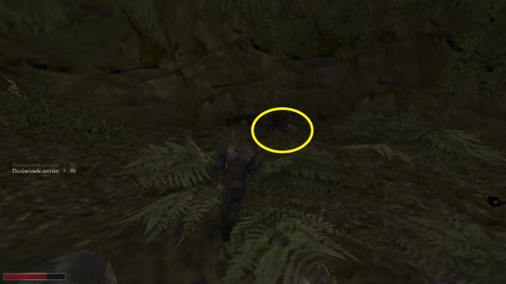 Pójdźcie dalej - Kroniki Myrtany: Pojawia się i znika - solucja, opis przejścia - Kroniki Myrtany - poradnik do gry