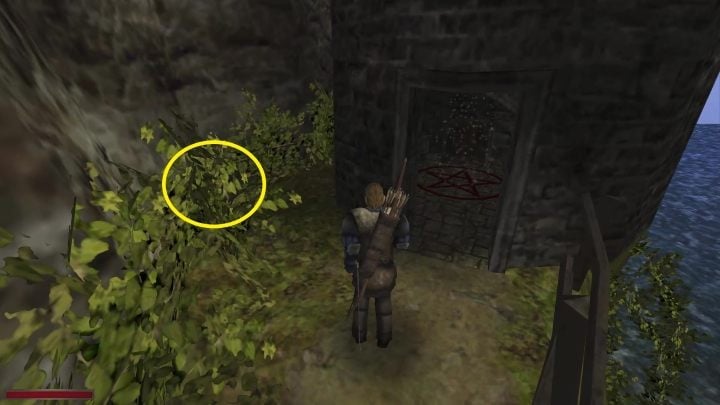 Paczka znajduje się w skrzynce ukrytej pomiędzy latarnią (nad plażą) oraz ścianą skalną - Kroniki Myrtany: Pojawia się i znika - solucja, opis przejścia - Kroniki Myrtany - poradnik do gry