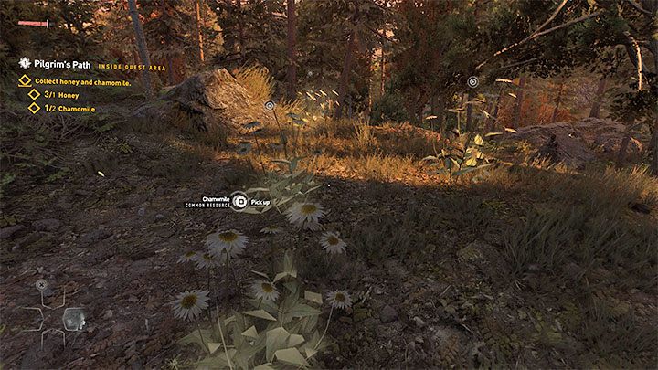 Starajcie się przede wszystkim używać Zmysłu przetrwania do skanowania okolicy (wciśnięcie prawej gałki analogowej na padzie lub Q na klawiaturze PC) - Dying Light 2: Rumianek w Prologu - gdzie znaleźć? - Dying Light 2 - poradnik do gry