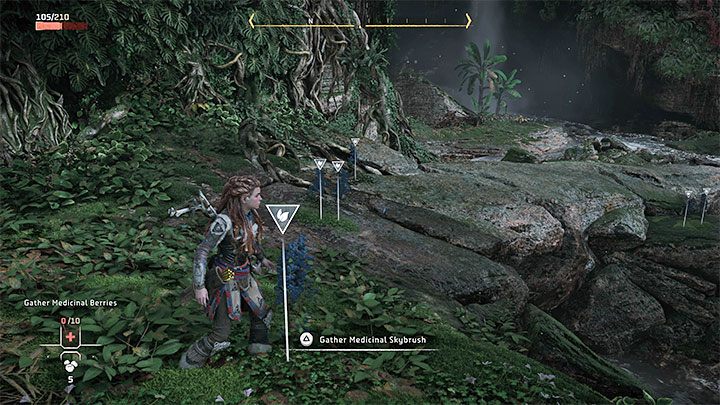 Wasze pierwsze zadanie to odnalezienie jagód leczniczych i w lokalizowaniu krzaków z jagodami do zebrania może pomagać fokus (wciśnięcie prawej gałki analogowej), który skanuje najbliższe otoczenie - Horizon Forbidden West: Sięgnąć gwiazd (Reach for the Stars) - solucja, opis przejścia - Horizon Forbidden West - poradnik do gry