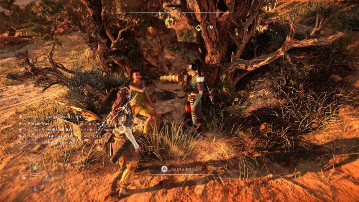 Po wyeliminowaniu zagrożenia, porozmawiajcie z Talaną - Horizon Forbidden West: Płonące Kwiaty (The Burning Blooms) - solucja, opis przejści - Horizon Forbidden West - poradnik do gry