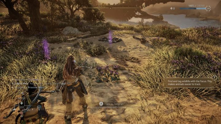 Przeskanujcie teren i zbadajcie broń leżącą w trawie, ognisko i ślady stóp oddalone na wschód od ogniska - Horizon Forbidden West: Płonące Kwiaty (The Burning Blooms) - solucja, opis przejści - Horizon Forbidden West - poradnik do gry