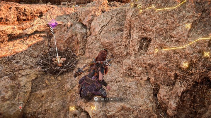 Podpłyńcie do wyspy na jeziorze w pobliżu obozu Solanka i zbierzcie 5 jaj ptaków - Horizon Forbidden West: Smak zwycięstwa (The Taste of Victory) - solucja, opis przejścia - Horizon Forbidden West - poradnik do gry