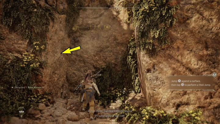 Przeskanujcie otoczenie i podskoczcie przy ścianie po lewej stronie, następnie szybko wciśnijcie krzyżyk, aby odbić się od ściany i podskoczyć do belki - Horizon Forbidden West: Droga Zmierzchu (The Twilight Path) - solucja, opis - Horizon Forbidden West - poradnik do gry