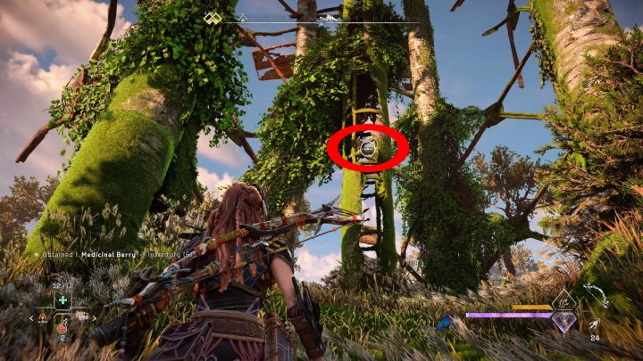 5 - Horizon Forbidden West: Zielenisko (Greenswell) - lista wszystkich kontraktów - Horizon Forbidden West - poradnik do gry