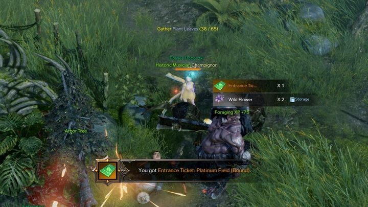 Entrance Ticket: Platinum Field to specjalny przedmiot, który umożliwia Wam wejścia na arenę Platinum Field celem pozyskiwania dużych ilości surowców i materiałów - Lost Ark: Platinum Field - Lost Ark - poradnik do gry