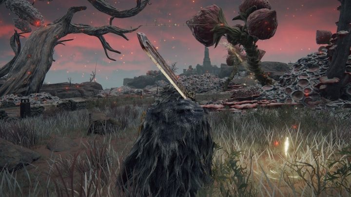 Poniżej na mapie zaznaczyliśmy dokładne położenie katedry - Elden Ring: Gdzie jest Katedra Smoczej Komunii? - Elden Ring - poradnik do gry