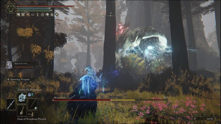 Gdy boss zmieni cel ataku na Waszą postać, będzie biec w bardzo szybkim tempie, próbując Was złapać - Elden Ring: Robaczywa Gęba (Wormface) - boss, jak pokonać? - Elden Ring - poradnik do gry