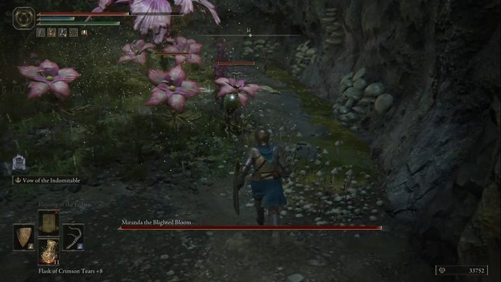 Walkę dobrze zacząć od zlikwidowania pomocników Mirandy - Elden Ring: Miranda, Splugawiony kwiat (Miranda the Blighted Bloom) - boss, jak pokonać? - Elden Ring - poradnik do gry
