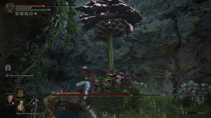 Jeśli zauważycie, że Miranda unosi się do góry, oznacza to, że za chwilę użyje magicznego ataku - Elden Ring: Miranda, Splugawiony kwiat (Miranda the Blighted Bloom) - boss, jak pokonać? - Elden Ring - poradnik do gry