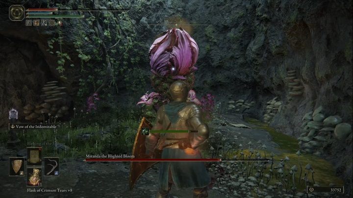 Nastąpi też moment, w którym Miranda się napręży (zwijając swoje płatki), a następnie wybuchnie chmurą trującego gazu - Elden Ring: Miranda, Splugawiony kwiat (Miranda the Blighted Bloom) - boss, jak pokonać? - Elden Ring - poradnik do gry