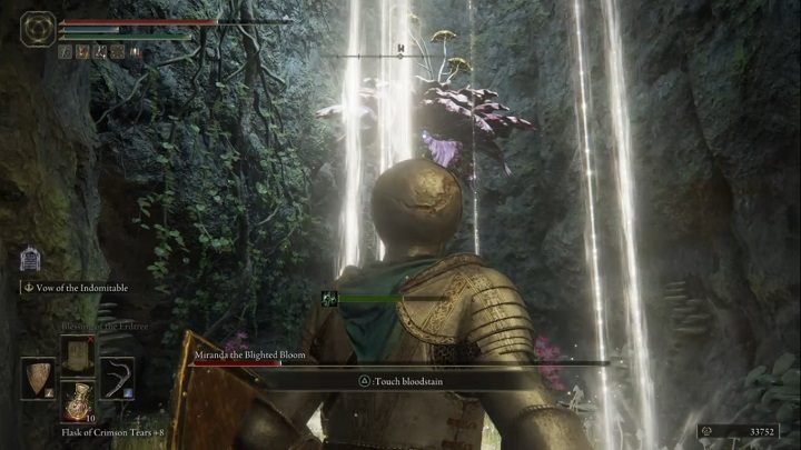 Walka z Mirandą cały czas przebiega tak samo - Elden Ring: Miranda, Splugawiony kwiat (Miranda the Blighted Bloom) - boss, jak pokonać? - Elden Ring - poradnik do gry