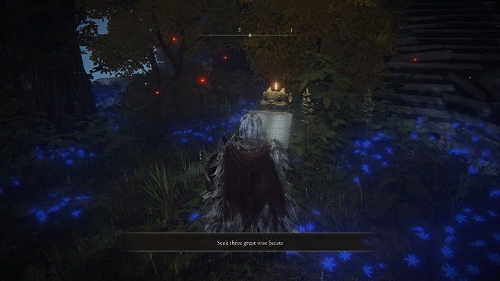 Z kolei żeby dostać się do wnętrza Wieży Chelony będziecie musieli rozwiązać zagadkę - Elden Ring: Legendarne czary i inkantacje (Legendary Sorceries and Incantations) - lista wszystkich - Elden Ring - poradnik do gry