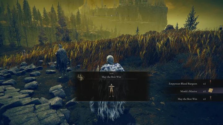 Zadanie Danea jest bardzo krótkie - Shadow of the Erdtree: Dane, Suchy Liść - solucja, opis przejścia - Elden Ring - poradnik do gry