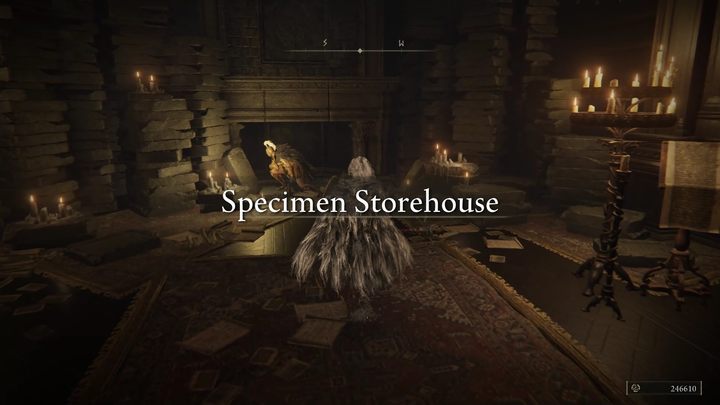 Większość zadania Freyji odbędzie się w Donżonie cienia, drugim głównym dungeonie dodatku - Shadow of the Erdtree: Freyja - solucja, opis przejścia - Elden Ring - poradnik do gry