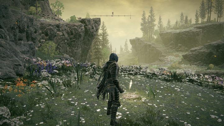 W przeciwieństwie do podstawowej wersji Elden Ringa, dodatek Shadow of the Erdtree zawiera zasadniczo jedno fabularne zakończenie - Shadow of the Erdtree: Ile jest zakończeń? - Elden Ring - poradnik do gry