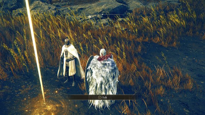 Gracz nie jest pozbawiony jednak pełni sprawczości w kontekście narracji - Shadow of the Erdtree: Ile jest zakończeń? - Elden Ring - poradnik do gry