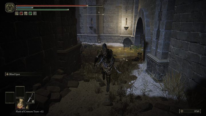 3 - Shadow of the Erdtree: Starowina, Rogata Przybyszka (Hornsent Grandam) - solucja, opis przejścia - Elden Ring - poradnik do gry