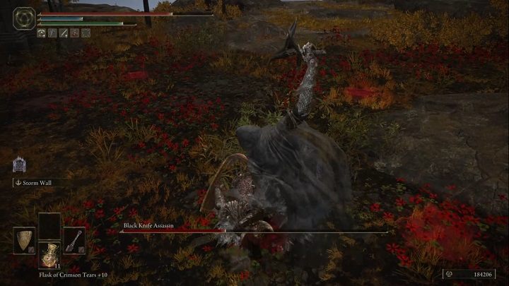 Zdarzyć się może, że przeciwnik Was złapie - Elden Ring: Zabójca czarnego noża (Black Knife Assassin), Płaskowyż Altus - boss, jak pokonać? - Elden Ring - poradnik do gry