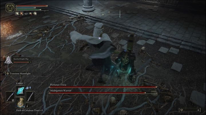 Tricia będzie głównie chować się za tarczą, dlatego też ataki z wyskoku lub mocne, ładowane ciosy będą mogły przełamać jej gardę - Elden Ring: Tricia, perfumiarz (Perfumer Tricia) i Lwi wynaturzeniec (Misbegotten Warrior) - boss, jak pokonać? - Elden Ring - poradnik do gry