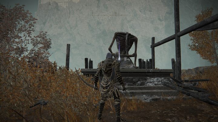 Koło klifu - Shadow of the Erdtree: Wszystkie prochy czcigodnego ducha - Elden Ring - poradnik do gry