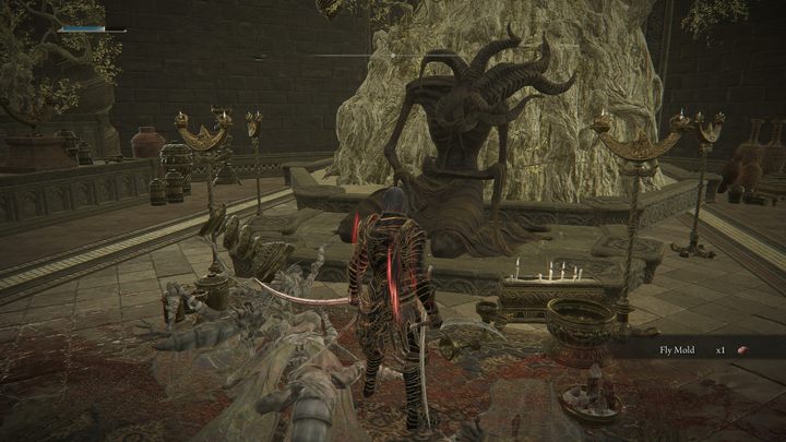 Z otwartego dziedzińca (tego, na którym znajduje się poprzednie Proch) skierujcie się schodami w dół - Shadow of the Erdtree: Wszystkie prochy czcigodnego ducha - Elden Ring - poradnik do gry