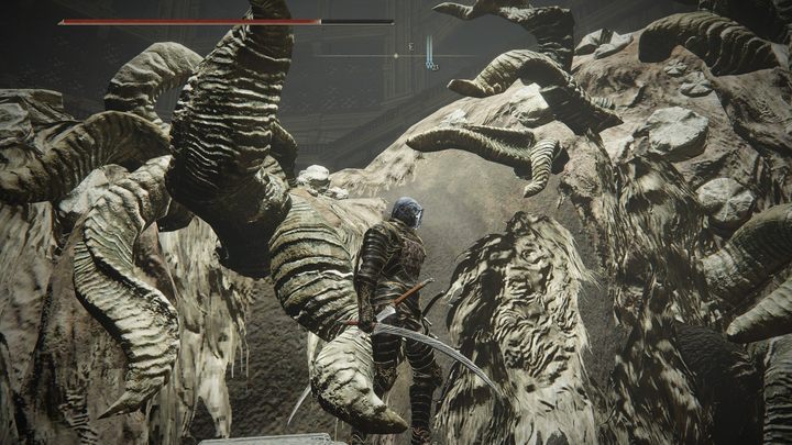 Na grzbiecie posągu kozy na parterze - Shadow of the Erdtree: Wszystkie prochy czcigodnego ducha - Elden Ring - poradnik do gry