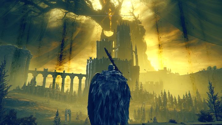 2 - Shadow of the Erdtree: Długość DLC - Elden Ring - poradnik do gry