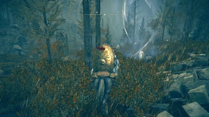 4 - Shadow of the Erdtree: Wszystkie obrazy - Elden Ring - poradnik do gry