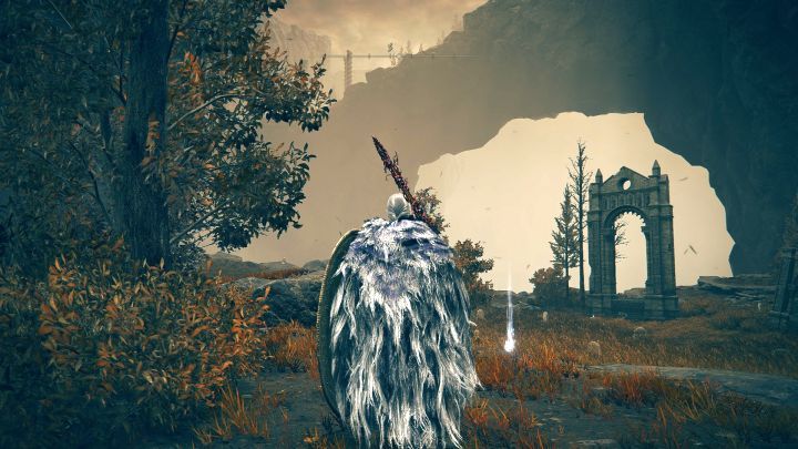 8 - Shadow of the Erdtree: Wszystkie obrazy - Elden Ring - poradnik do gry