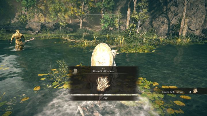 Wymagania - Shadow of the Erdtree: Wszystkie nowe czary i inkantacje - Elden Ring - poradnik do gry