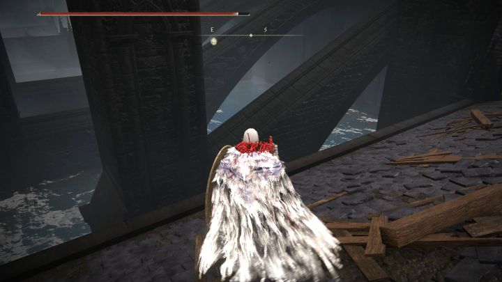 2 - Shadow of the Erdtree: Jak osuszyć Donżon cienia? - Elden Ring - poradnik do gry