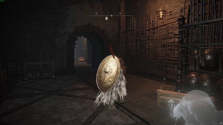 3 - Shadow of the Erdtree: Jak dotrzeć do dolnego Ostrowyżu Altus? - Elden Ring - poradnik do gry