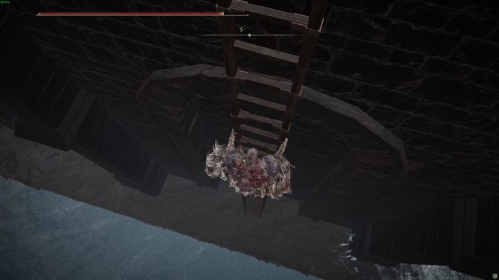 8 - Shadow of the Erdtree: Jak dotrzeć do dolnego Ostrowyżu Altus? - Elden Ring - poradnik do gry