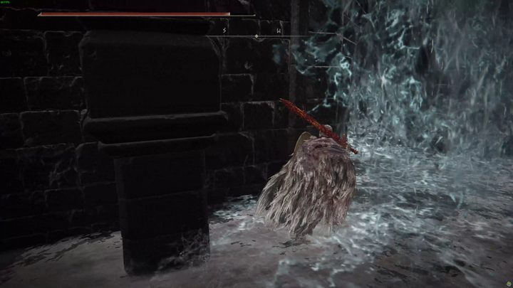 Na dole, na prawo od drabiny znajdziecie przejście pod wodospadem - Shadow of the Erdtree: Jak dotrzeć do dolnego Ostrowyżu Altus? - Elden Ring - poradnik do gry