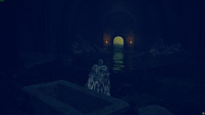 Po krótkim przerywniku filmowym pokazującym spływający sarkofag, obudzicie się w innej części kanałów - Shadow of the Erdtree: Jak dotrzeć do dolnego Ostrowyżu Altus? - Elden Ring - poradnik do gry