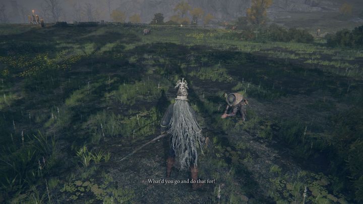 Gdy to zrobicie, drzewko przemieni się w postać przypominającą półczłowieka (demi-human) - Elden Ring: Boc, szwacz (Boc the Seamster) - solucja, opis przejścia - Elden Ring - poradnik do gry