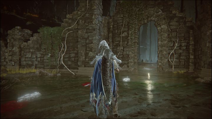 Jest to pierwsze miejsce łaski, które znajdziecie w Lesie Otchłani - Shadow of the Erdtree: Wszystkie Miejsca łaski w pomniejszych regionach - Elden Ring - poradnik do gry