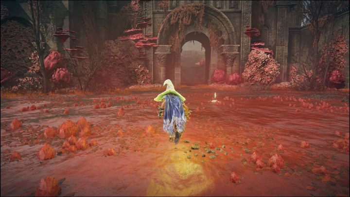 To miejsce łaski znajduje się na arenie bossa Romina, święta patronka pąków - Shadow of the Erdtree: Wszystkie Miejsca łaski w pomniejszych regionach - Elden Ring - poradnik do gry