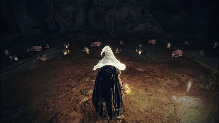 Miejsce łaski znajdujące się przed areną bossa Gnijący rycerz - Shadow of the Erdtree: Wszystkie Miejsca łaski w pomniejszych regionach - Elden Ring - poradnik do gry