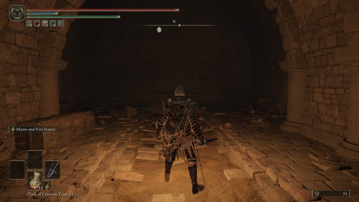 Eksploracji nie ułatwiają ciemności spowijające Katakumby - Shadow of the Erdtree: Jak dotrzeć do Lasu Otchłani? - Elden Ring - poradnik do gry