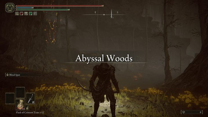 Pokonanie Jori da Wam swobodny dostęp do regionu Lasu Otchłani - Shadow of the Erdtree: Jak dotrzeć do Lasu Otchłani? - Elden Ring - poradnik do gry