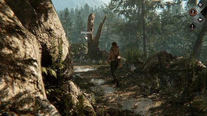 Podążając ścieżką do schroniska, zbadajcie teren przy powalonym drzewie - Syberia The World Before: Vaghen - góry, jesień 2005 (Vaghen - mountains, autumn 2005) - solucja, opis przejścia - Syberia The World Before - poradnik do gry