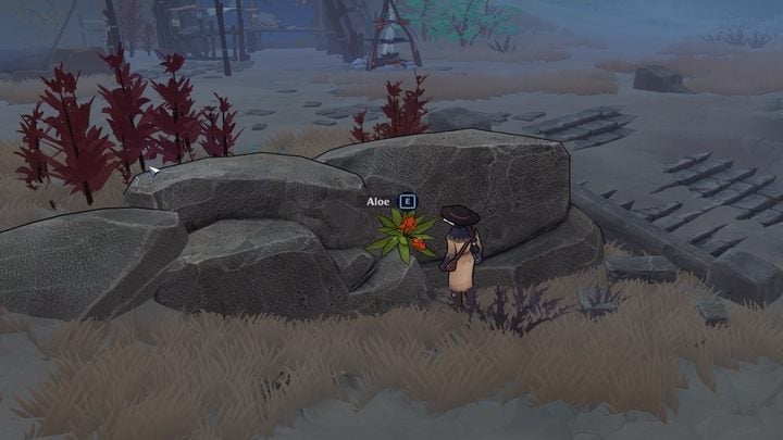 Aloes to prosta roślina o właściwościach leczniczych (i zdrowie odbierających), którą znajdziecie w losowych miejscach na szlaku - The Serpent Rogue: Składniki do warzenia mikstur - lista wszystkich - The Serpent Rogue - poradnik do gry
