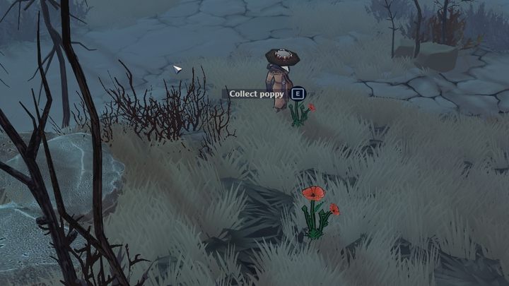 Mak znajdziecie choćby w Wasteland, rosnący na małych pagórkach - The Serpent Rogue: Składniki do warzenia mikstur - lista wszystkich - The Serpent Rogue - poradnik do gry