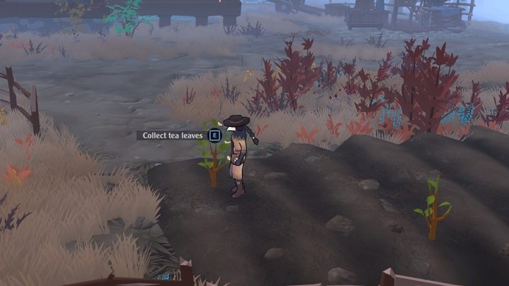 Liście rosną na niskich krzewach o jasno-zielonych liściach - The Serpent Rogue: Składniki do warzenia mikstur - lista wszystkich - The Serpent Rogue - poradnik do gry