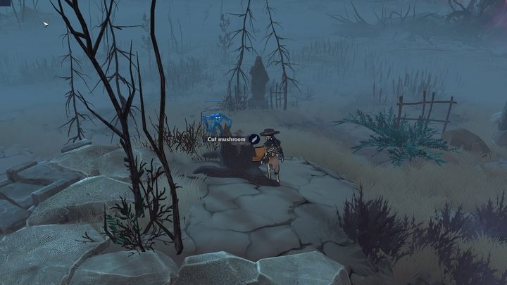 Aby zdobyć grzyby, musicie je wyciąć używając szkła (glass) - The Serpent Rogue: Składniki kulinarne - The Serpent Rogue - poradnik do gry