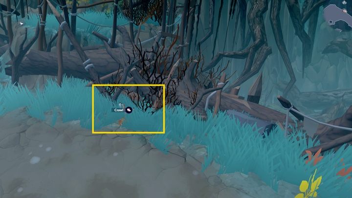 Lokacja za bagnami (Swamp) - Dobhar-chus Lair - jest jedną z tych, które zamknięte są na klucz i należą do lokacji zdobywanych pod koniec gry - The Serpent Rogue: World Tomes - strony dziennika - The Serpent Rogue - poradnik do gry